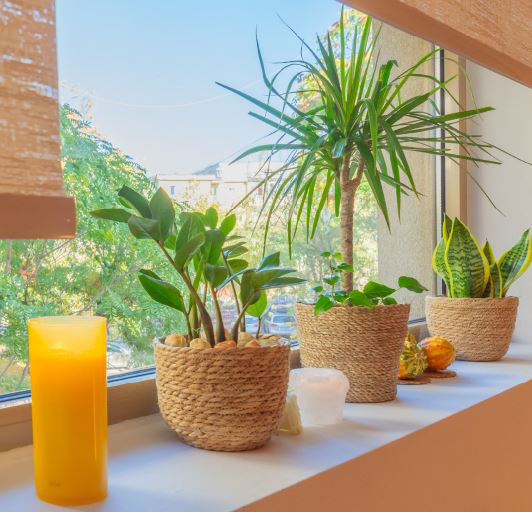 Practici de vindecare prin Masaj